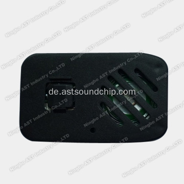Ultradünner Voice Recorder, Soundmodul